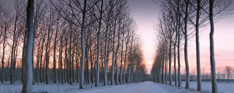 除夕出生的男孩命運2023年 除夕出生的男孩命運興隆