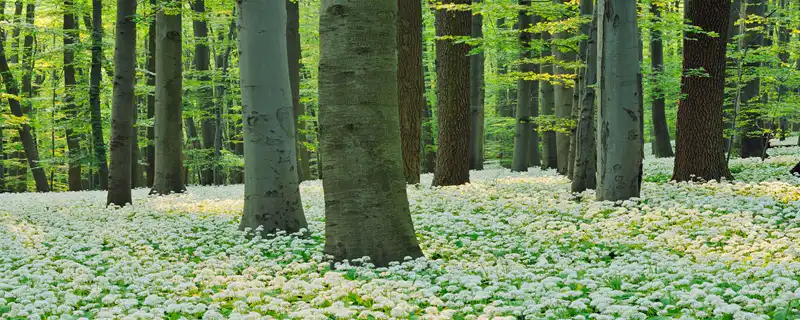 男人命裡缺水找什麼命的物件 有什麼說法